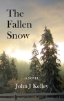 fallen snow - cover