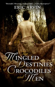 the mingled destinies - cover